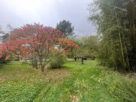 vente terrain 946 m² à sauternes (33210)  77 000 €