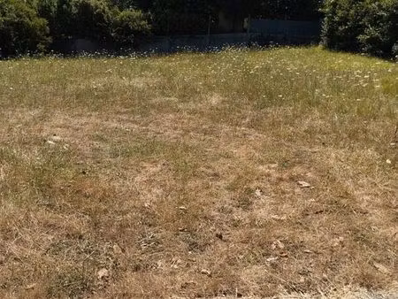 terrain constructible