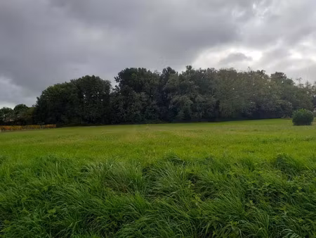 vente terrain 660 m² à sadirac (33670)  143 000 €