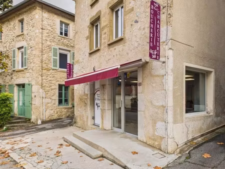 vente locaux professionnels 486 m² à saint-romans (38160)  220 000 €
