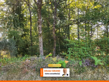 terrain 1245m² - environnement campagne - calme