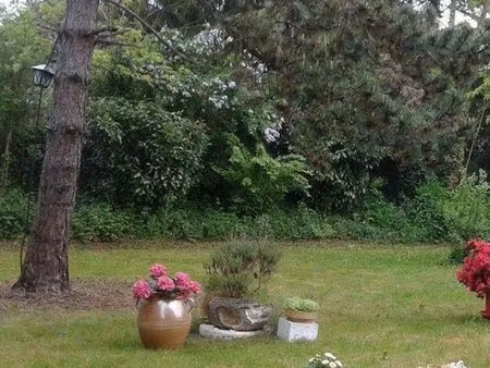 beau terrain constuctible