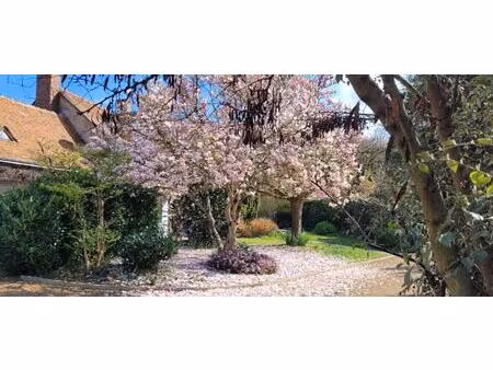 achat maison 9 pièces 250m² villiers sur loir 41100
