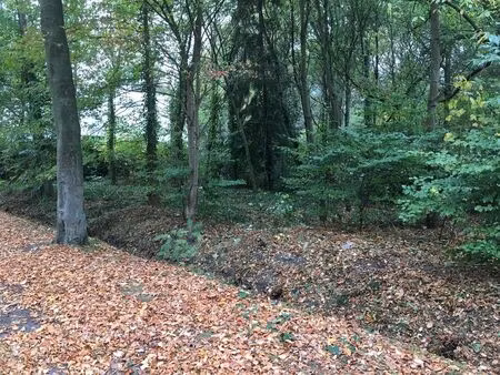 terrain à vendre à schilde € 595.000 (lgqxj) - | zimmo