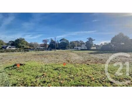terrain constructible viabilisé à vendre