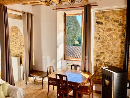 2 appartements de 65 m2 et 30 m2 - belles pierres - lumineux