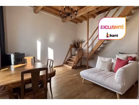 2 appts 65 m2 et 30 m2 - belles pierres - lumineux