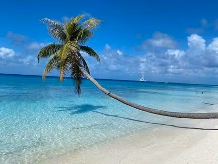 murs commerciaux emplacement n °1