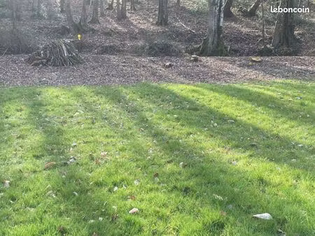 terrain constructible