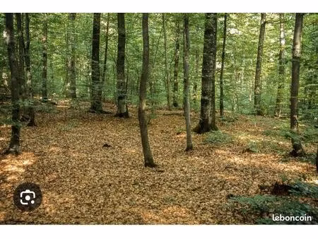 terrain domaine du lys