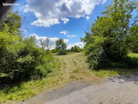 terrain constructible