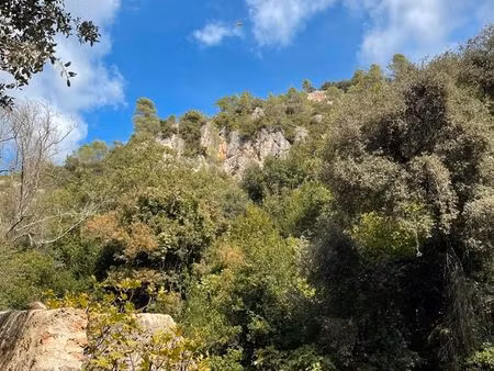 1 5 ha de forêt sur seillans