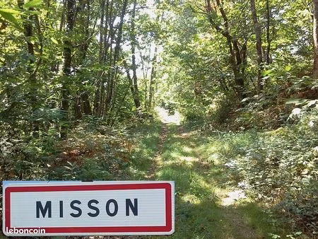terrain de loisir / terrain de forêt diversifiée