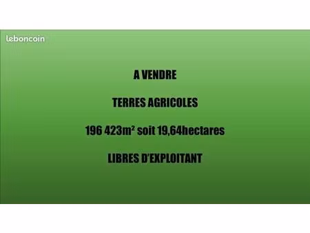bien agricole 196400 m² martinvast