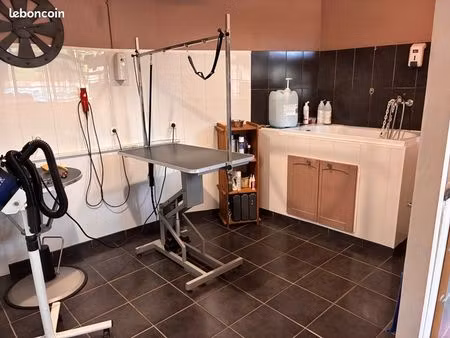 vente fonds de commerce