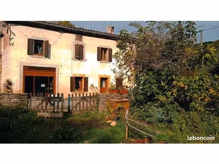 grande maison avec poutres et pierre + jardin 625m2 en face