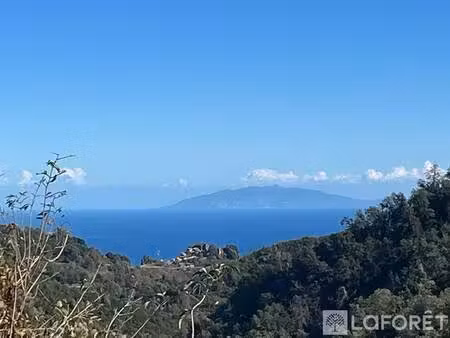laforêt lucciana