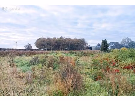 proximite centrale penly  beau terrain a batir 812 m2