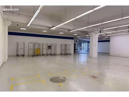 entrepôt 480 m² marseille 10