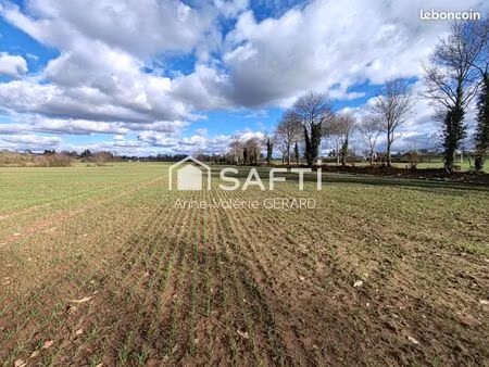 terrain 150000 m² fougerolles-du-plessis