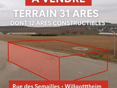 terrain 3 119 m² willgottheim