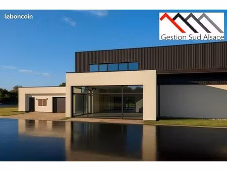 bureaux 184 m² brunstatt-didenheim