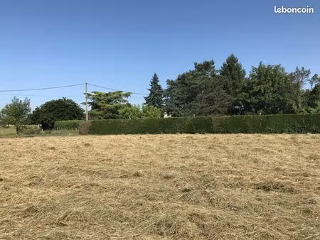 terrain 1 019 m² cours de pile