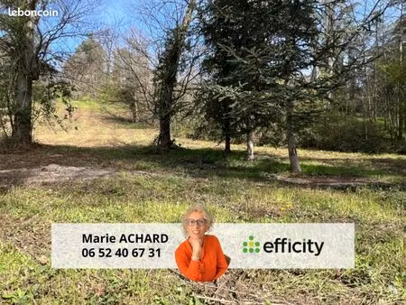 terrain 2 320 m² saint martin la plaine