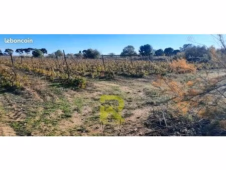 terrain 22800 m² portiragnes