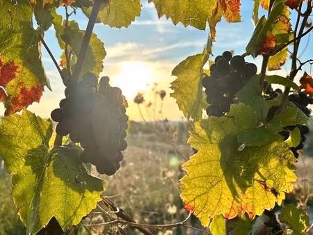 terrain agricole 3 659 m²