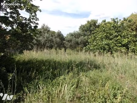 terrain 1000 m² bagnols sur ceze