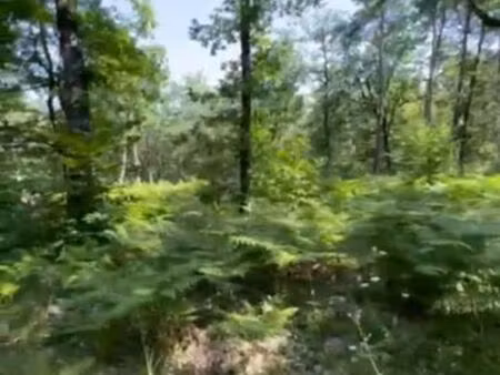 terrain à vendre rouffignac st cernain