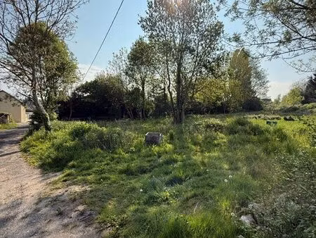 terrain constructible