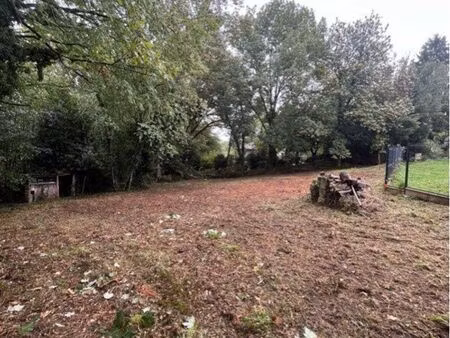 terrain vouillé 1004 m2