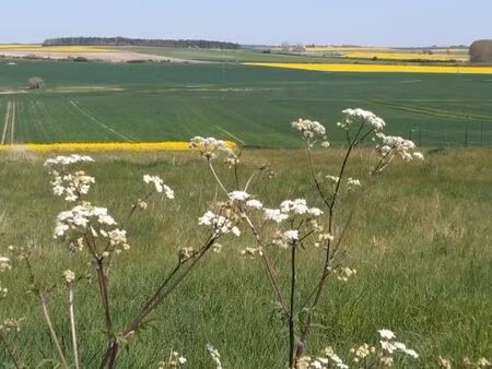 terrains constructible loir et cher