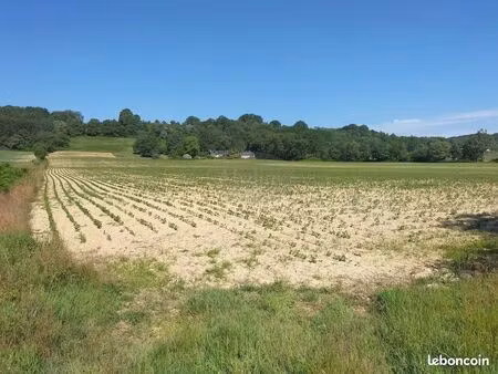 terrain 97000 m² gabaston