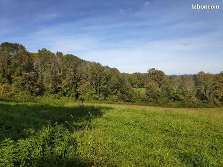 terrain constructible