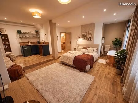 local commercial 38 m² beausoleil