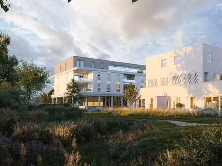 nouveau projet de construction nexuss schelle