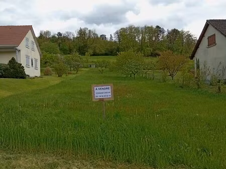 terrain à bâtir borné et planté