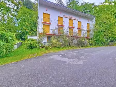 hôtel particulier 13 pièces 300 m²