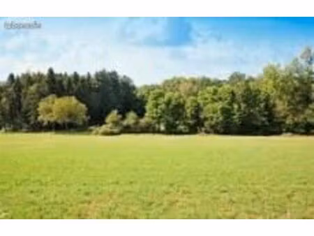 terrain à construire