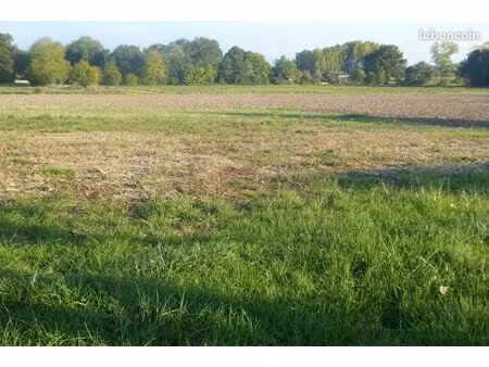 terrain constructible