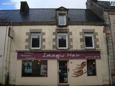 immeuble 117 m² plumeliau