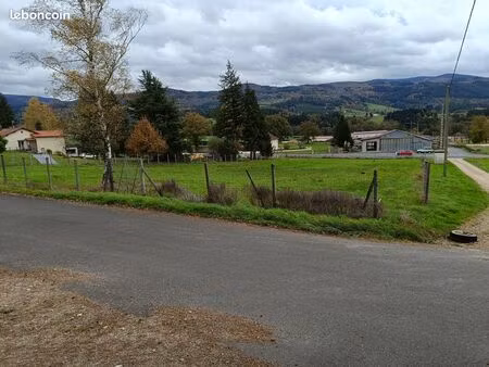 terrain constructible