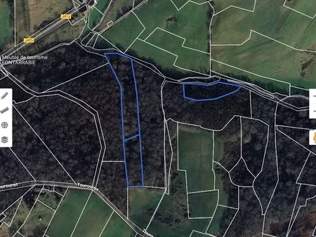 a vendre bois 16281 m2 salies de bearn (64)