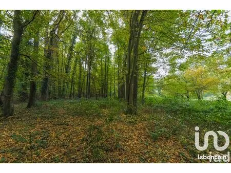 terrain 5000 m² luzarches