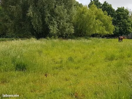 terrain à bâtir  viabilisé  905m²  largeur 20m