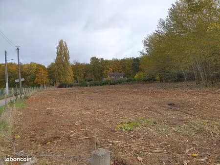 terrain de 8000m2 sur 2 ha