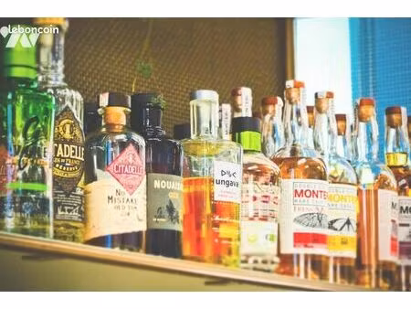 local divers 205 m² orvault